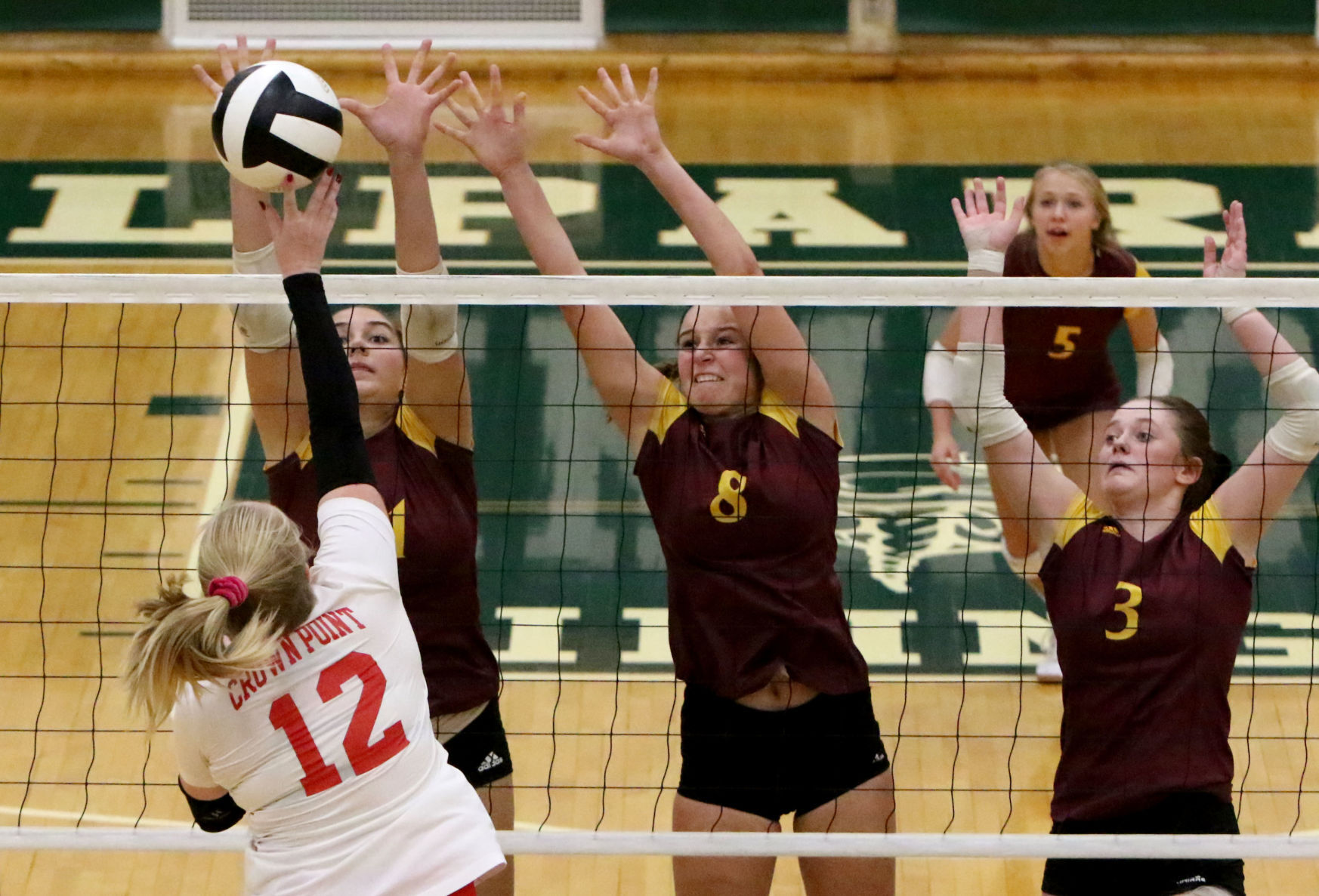 Class 4A Valparaiso Sectional volleyball championship